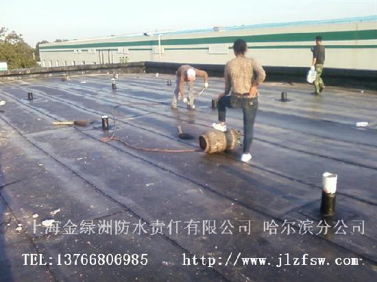 20101214103959102.jpg 20101214103959102.jpg